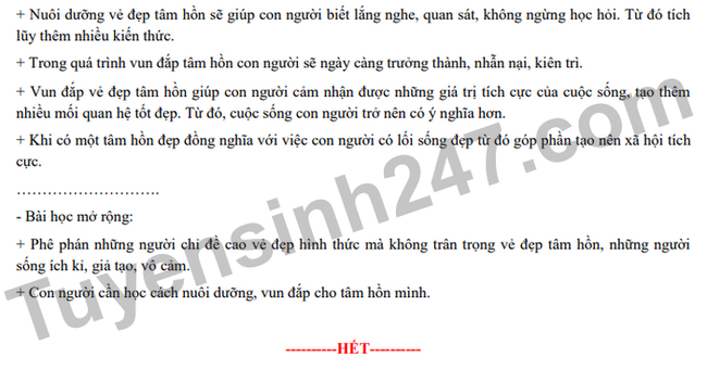 Đề thi và đáp án môn Ngữ Văn thi lớp 10 ở Hà Nội, cập nhật nhanh nhất TẠI ĐÂY - Ảnh 4.