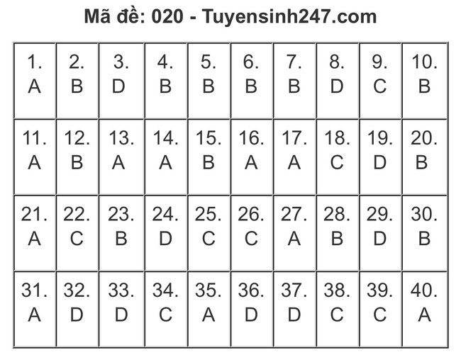 Gợi ý đáp án đề thi Tiếng Anh và Ngữ Văn lớp 10 ở Hà Nội, xem TẠI ĐÂY  - Ảnh 8.