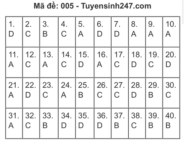 Gợi ý đáp án đề thi Tiếng Anh và Ngữ Văn lớp 10 ở Hà Nội, xem TẠI ĐÂY  - Ảnh 3.