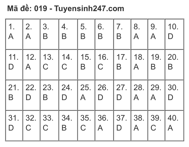 Gợi ý đáp án đề thi Tiếng Anh và Ngữ Văn lớp 10 ở Hà Nội, xem TẠI ĐÂY  - Ảnh 10.