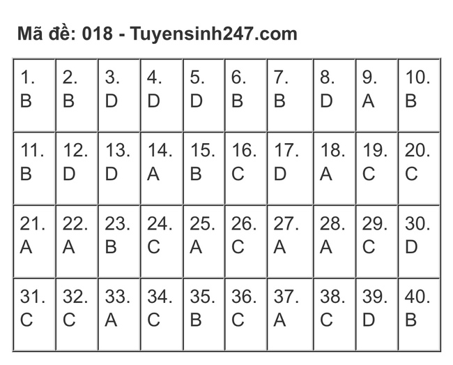 Gợi ý đáp án đề thi Tiếng Anh và Ngữ Văn lớp 10 ở Hà Nội, xem TẠI ĐÂY  - Ảnh 9.