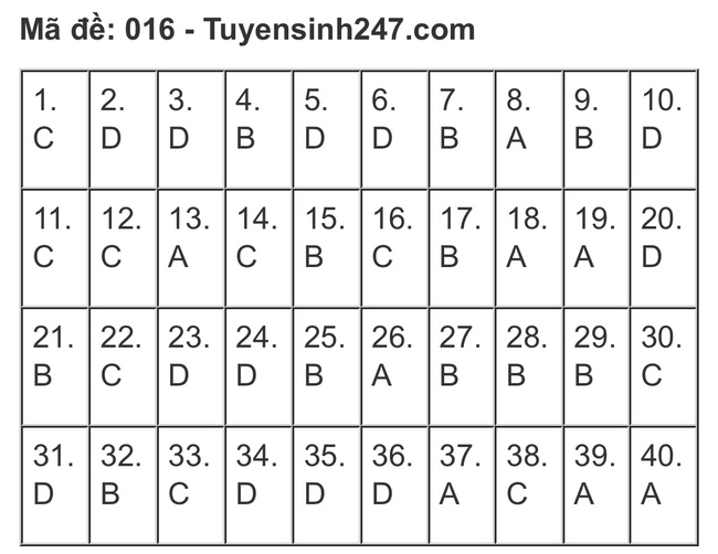 Gợi ý đáp án đề thi Tiếng Anh và Ngữ Văn lớp 10 ở Hà Nội, xem TẠI ĐÂY  - Ảnh 11.