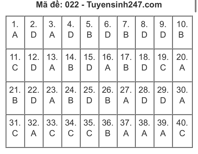 Gợi ý đáp án đề thi Tiếng Anh và Ngữ Văn lớp 10 ở Hà Nội, xem TẠI ĐÂY  - Ảnh 16.