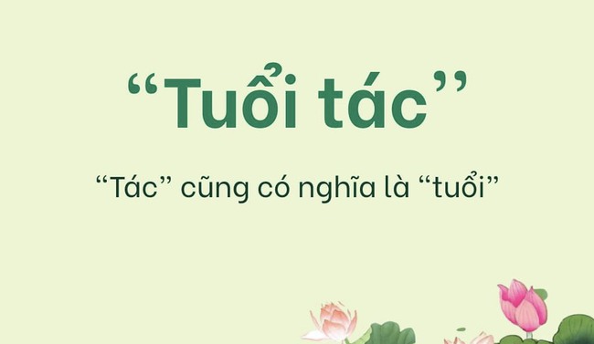 Câu đố Tiếng Việt: &quot;Vì sao lại gọi là TUỔI TÁC?&quot; – Nghe giải thích xong &quot;mắt chữ A mồm chữ O&quot; bởi quá lý thú! - Ảnh 1.