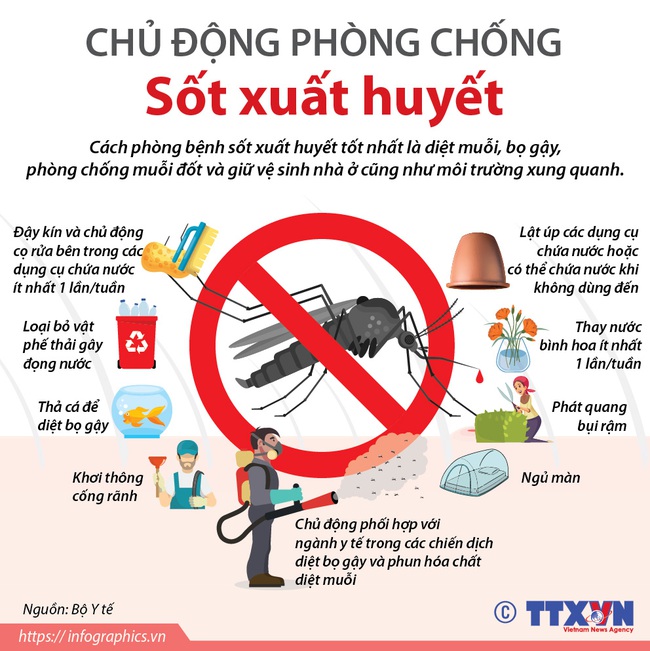 TP.HCM phát hiện 111 ổ dịch sốt xuất huyết mới, đã có 7 trường hợp tử vong: Dấu hiệu cảnh báo cần nhập viện gấp - Ảnh 2.