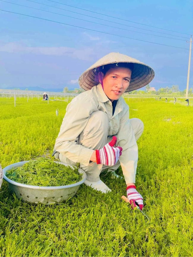 Hành trình thuần hóa rau dại trên vùng đất nhiễm mặn thành đặc sản vùng quê của anh nông dân 8X xứ Nghệ - Ảnh 2.