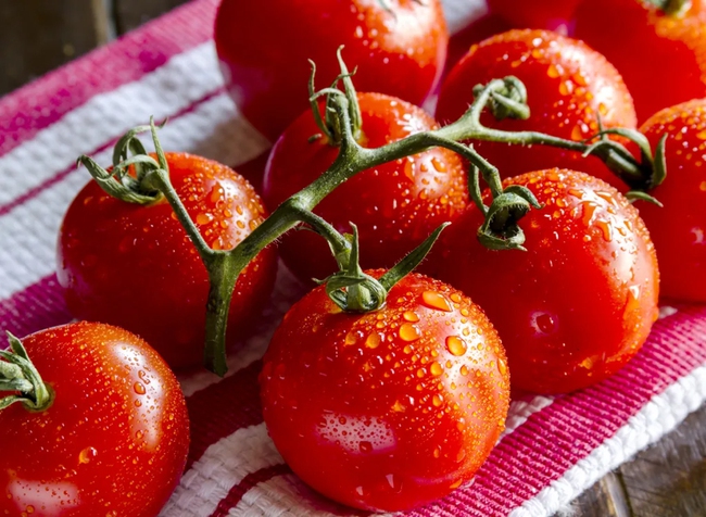 4 lợi ích khi ăn cà chua, vào mùa hè, lợi ích số 1 khiến chị em càng &quot;sốt xình xịch&quot; - Ảnh 1.