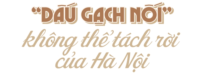 Cầu Long Biên: Kiệt tác nghệ thuật kiến trúc - chứng nhân lịch sử của dân tộc đã đến lúc cần được nghỉ ngơi - Ảnh 16.