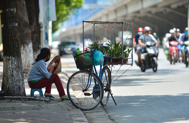 Nắng nóng diện rộng quay trở lại miền Bắc - Ảnh 1.