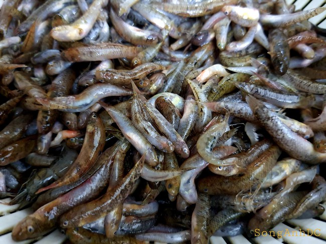 Mẹ đảm "bỏ bùa" người thương bằng món canh dân dã giữa phố thị: Ăn một lần rồi chẳng thể nào quên! - Ảnh 8. Mẹ đảm "bỏ bùa" người thương bằng món canh dân dã giữa phố thị: Ăn một lần rồi chẳng thể nào quên! - Ảnh 8.