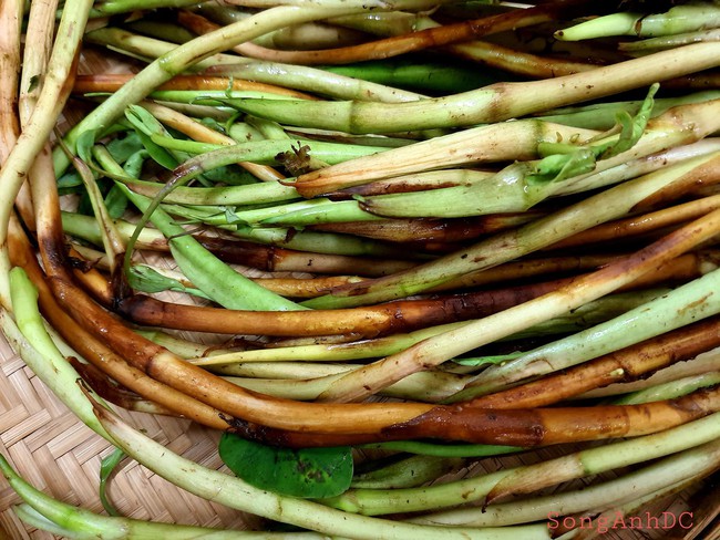 Mẹ đảm "bỏ bùa" người thương bằng món canh dân dã giữa phố thị: Ăn một lần rồi chẳng thể nào quên! - Ảnh 1. Mẹ đảm "bỏ bùa" người thương bằng món canh dân dã giữa phố thị: Ăn một lần rồi chẳng thể nào quên! - Ảnh 1.
