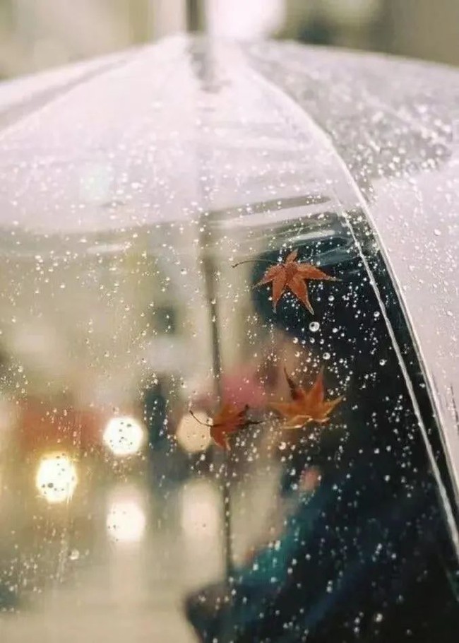 Chiếc ô trong suốt ở Nhật Bản: Trở thành vật quốc dân trong ngày mưa, là nét văn hóa không thể thiếu của đất nước mặt trời mọc - Ảnh 8.