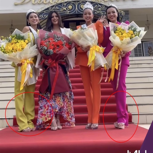 Lý do khiến netizen nổi đóa đòi &quot;giải cứu&quot; Top 3 Hoa hậu Hoàn vũ Việt Nam 2022 - Ảnh 2.
