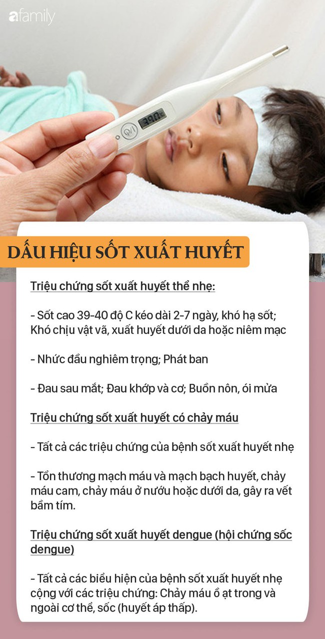 Cao điểm dịch sốt xuất huyết, 92.000 người mắc, 36 ca tử vong: Dấu hiệu mắc sốt xuất huyết cần đến viện ngay - Ảnh 4.