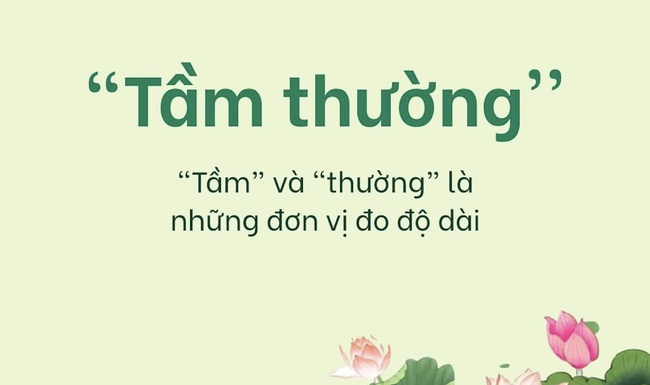 Câu đố Tiếng Việt: Vì sao lại nói là &quot;TẦM THƯỜNG&quot; – Đáp án ngoài sức tưởng tượng - Ảnh 1.