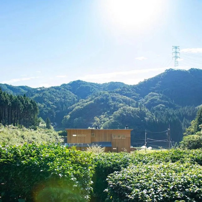 Thú vui điền viên của dân thành thị Nhật Bản: Thuê đất trồng rau, nghỉ việc về làm nông dân tại thành phố tấc đất tấc vàng - Ảnh 6.