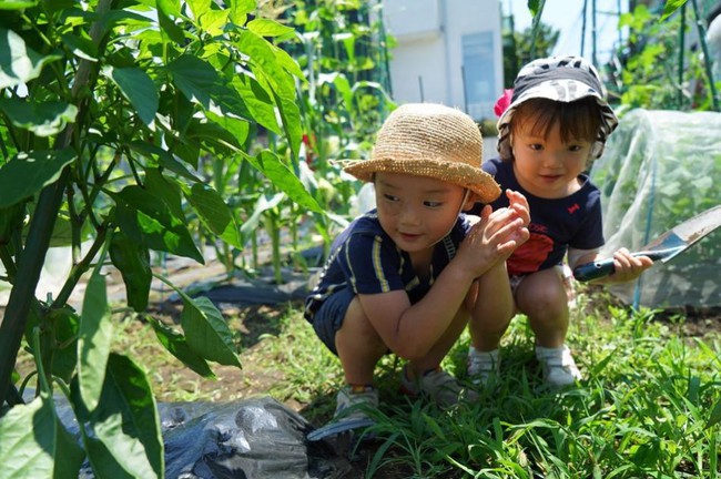 Thú vui điền viên của dân thành thị Nhật Bản: Thuê đất trồng rau, nghỉ việc về làm nông dân tại thành phố tấc đất tấc vàng - Ảnh 10.