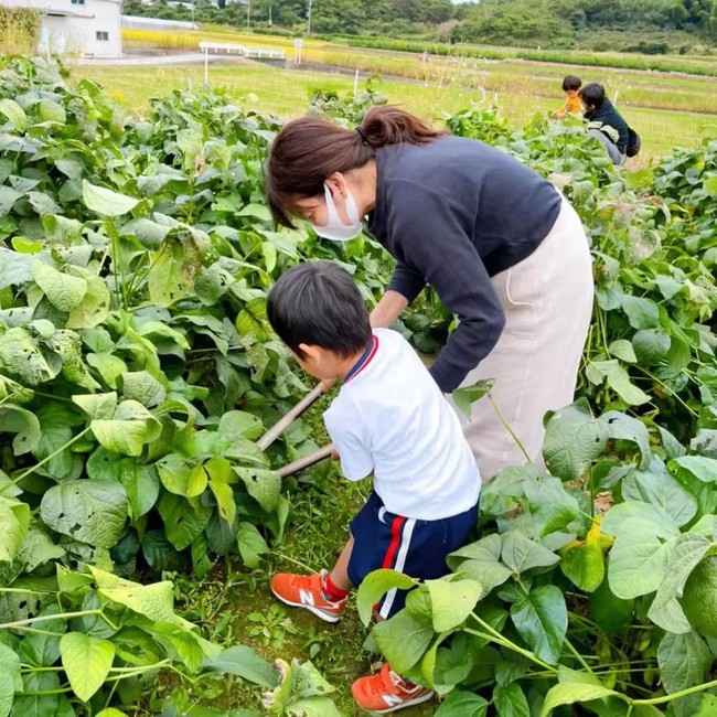 Thú vui điền viên của dân thành thị Nhật Bản: Thuê đất trồng rau, nghỉ việc về làm nông dân tại thành phố tấc đất tấc vàng - Ảnh 11.