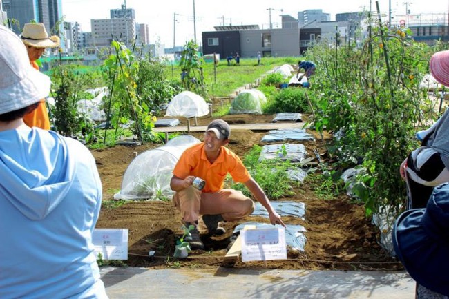 Thú vui điền viên của dân thành thị Nhật Bản: Thuê đất trồng rau, nghỉ việc về làm nông dân tại thành phố tấc đất tấc vàng - Ảnh 13.