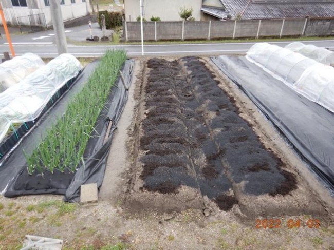 Thú vui điền viên của dân thành thị Nhật Bản: Thuê đất trồng rau, nghỉ việc về làm nông dân tại thành phố tấc đất tấc vàng - Ảnh 17.