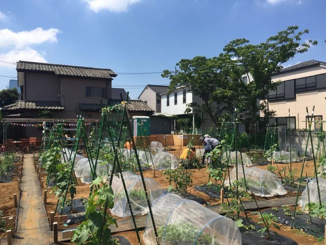 Thú vui điền viên của dân thành thị Nhật Bản: Thuê đất trồng rau, nghỉ việc về làm nông dân tại thành phố tấc đất tấc vàng - Ảnh 18.