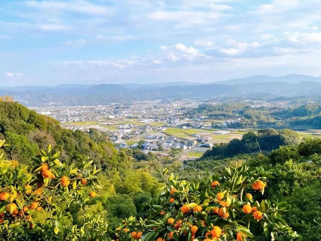 Thú vui điền viên của dân thành thị Nhật Bản: Thuê đất trồng rau, nghỉ việc về làm nông dân tại thành phố tấc đất tấc vàng - Ảnh 20.