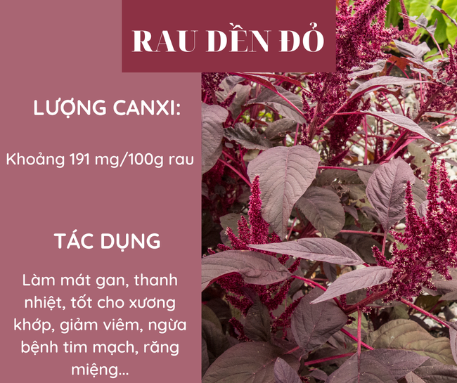 10 loại rau giàu canxi hơn sữa, bổ sung hàng ngày để phòng ngừa loãng xương - Ảnh 2.