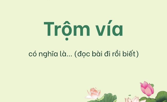 Câu đố Tiếng Việt: Vì sao nói là &quot;TRỘM VÍA&quot;? – Kiến thức cực thú vị nhưng không phải ai cũng biết - Ảnh 1.