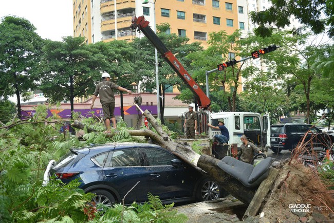 Cây xanh bật gốc đè bẹp ô tô trong trận mưa lớn tại Hà Nội - Ảnh 3.