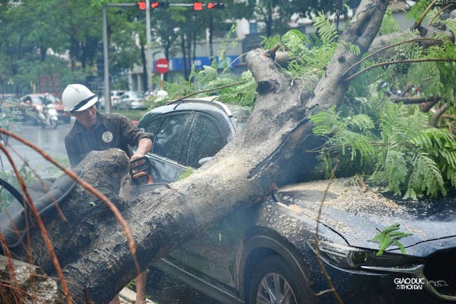 Cây xanh bật gốc đè bẹp ô tô trong trận mưa lớn tại Hà Nội - Ảnh 7.