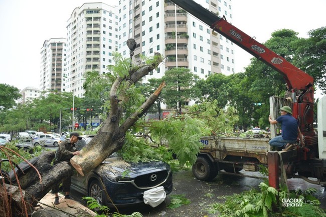 Cây xanh bật gốc đè bẹp ô tô trong trận mưa lớn tại Hà Nội - Ảnh 8.