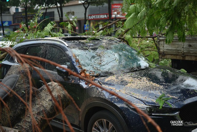 Cây xanh bật gốc đè bẹp ô tô trong trận mưa lớn tại Hà Nội - Ảnh 9.