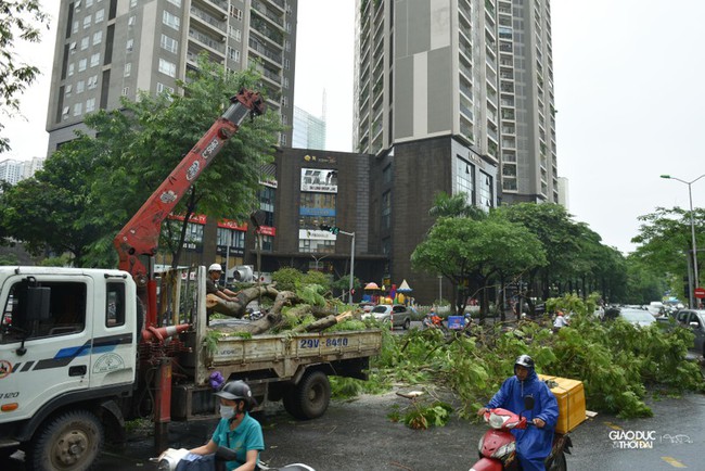 Cây xanh bật gốc đè bẹp ô tô trong trận mưa lớn tại Hà Nội - Ảnh 1.