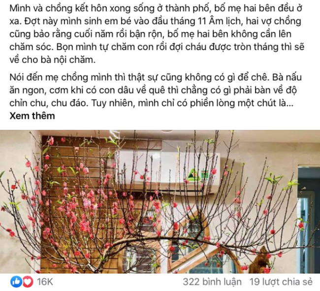Về quê ăn Tết lỡ xích mích với mẹ chồng, nàng dâu có pha "chữa cháy" đỉnh cao và những bài học lớn ai cũng nên biết - Ảnh 1. Về quê ăn Tết lỡ xích mích với mẹ chồng, nàng dâu có pha "chữa cháy" đỉnh cao và những bài học lớn ai cũng nên biết - Ảnh 1.