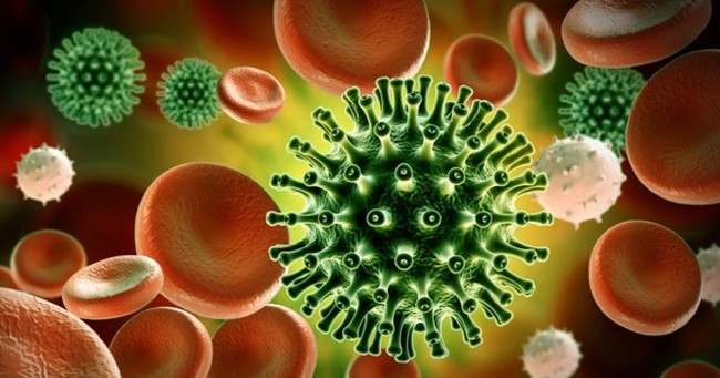 Những tác nhân virus gây bệnh mới nổi - Ảnh 1.