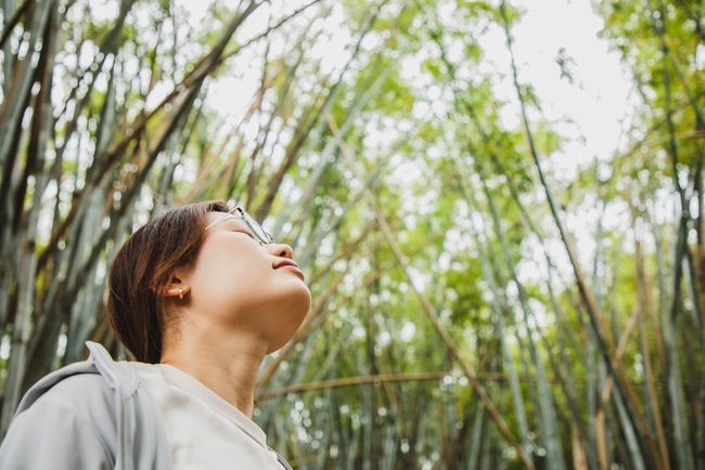 Phổi giúp chúng ta &quot;sống sót&quot;, hàng ngày cần làm được 5 việc để &quot;giải độc&quot; phổi tốt nhất - Ảnh 3.