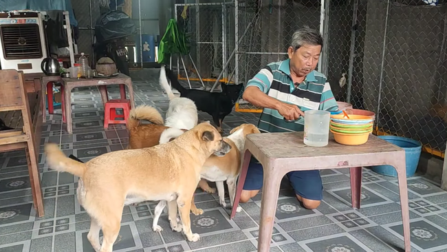 Video: Độc lạ 5 chú chó &quot;chia ca&quot; bán vé số phụ chủ ở miền Tây - Ảnh 3.