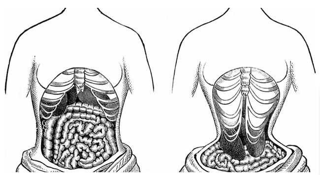 4 sự thật về đai nịt bụng huấn luyện viên muốn chị em ghi nhớ - Ảnh 3.