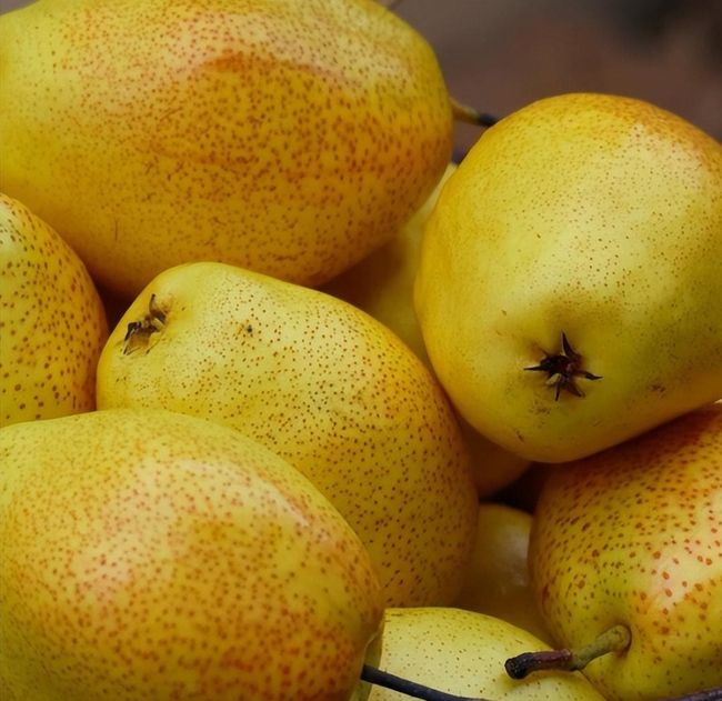 Bốn m&oacute;n đồ kh&ocirc;ng n&ecirc;n mang tặng người kh&aacute;c, đặc biệt m&oacute;n thứ 2, chẳng kh&aacute;c n&agrave;o "chặt đứt" tiền t&agrave;i của m&igrave;nh - Ảnh 2.
