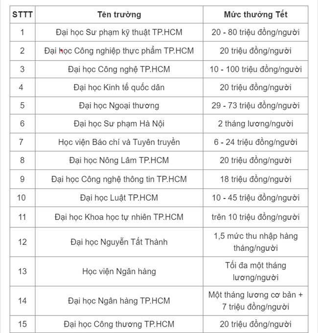 Mức thưởng Tết của các trường đại học năm 2023, cao nhất 100 triệu đồng - Ảnh 1.