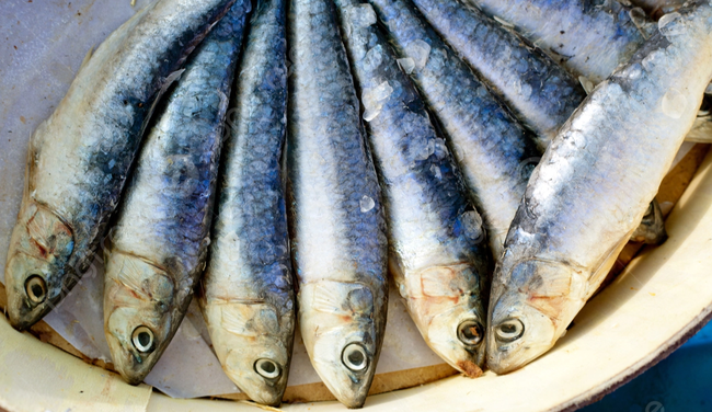 pngtree-brine-salted-sardines-in-round-wood-box-body-healthy-dinner-photo-picture-image_4819332.jpg
