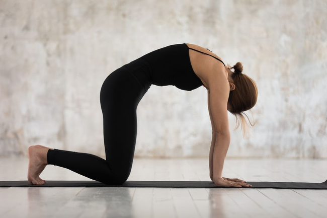 8 động tác Yoga giúp lưng thon, bụng dưới săn chắc - Ảnh 4.