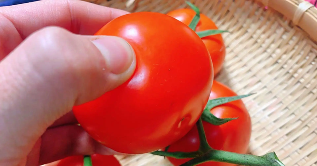 Khi mua cà chua, nên chọn loại núm có 5 cánh hay 6 cánh? Đây là cách chọn mua cà chua cực chuẩn giúp làm nước ép dưỡng trắng da mùa nắng nóng - Ảnh 5.