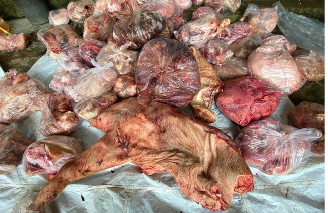 Đi chợ Tết đừng mua thịt, nội tạng động vật có dấu hiệu này vì dễ mua phải hàng đông lạnh ôi thiu, chứa &quot;ổ vi khuẩn&quot; đáng sợ - Ảnh 1.