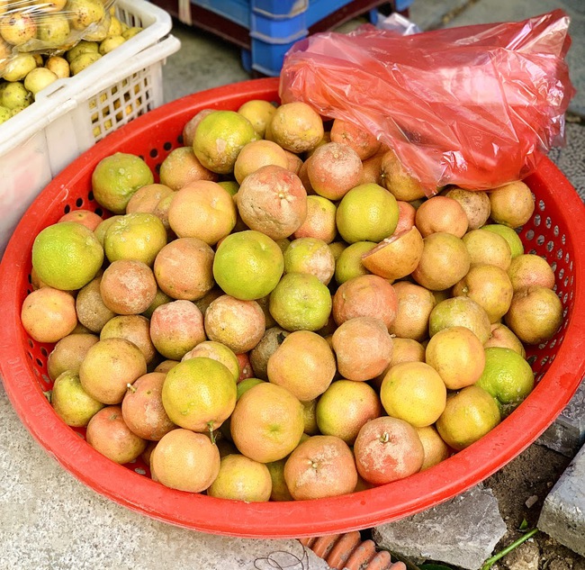 Loại quả giàu vitamin C chống lão hóa rất tốt còn là &quot;thuốc trị ho&quot; tự nhiên: Bán đầy chợ nhưng nhớ tránh xa 2 kiểu dùng - Ảnh 1.