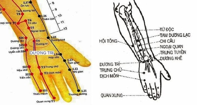 Khám phá &quot;nút ma thuật&quot; trên mu bàn tay: Khi tay lạnh chỉ cần ấn vào sẽ nhanh chóng ấm áp - Ảnh 1.