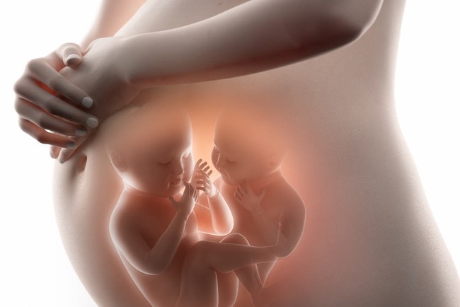 Cứ làm IVF là được thai đôi và có thể chọn giới tính thai nhỉ? - Ảnh 1.