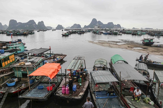 Ghé thăm chợ hải sản được mệnh danh &quot;rẻ nhất miền Bắc&quot;, ai làm kinh doanh nhà hàng đều muốn ghé ít nhất 1 lần - Ảnh 1.