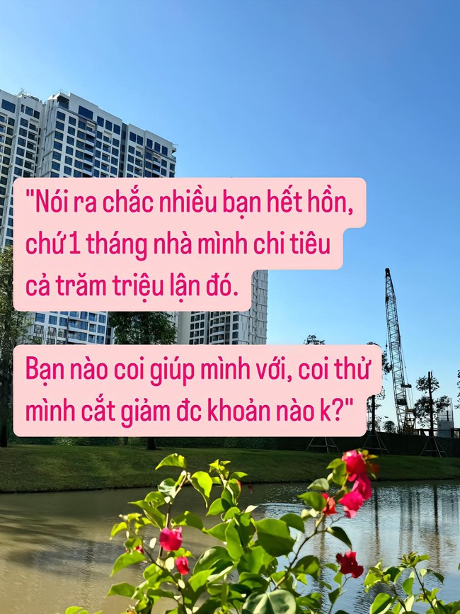 Bảng chi tiêu bà mẹ 2 con ở Hà Nội khiến chị em bàn luận rôm rả: Có tiền để chi hơn 90 triệu/tháng mà vẫn phải ở nhà thuê? - Ảnh 1.