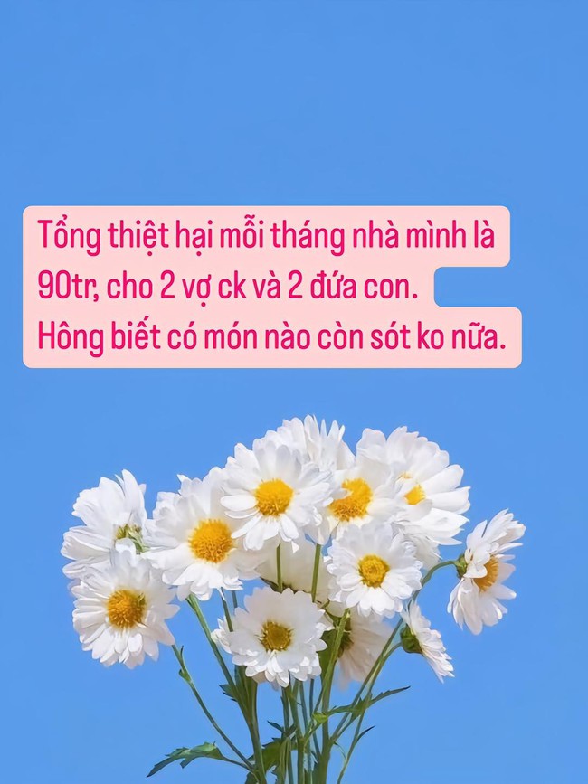 Bảng chi tiêu bà mẹ 2 con ở Hà Nội khiến chị em bàn luận rôm rả: Có tiền để chi hơn 90 triệu/tháng mà vẫn phải ở nhà thuê? - Ảnh 2.